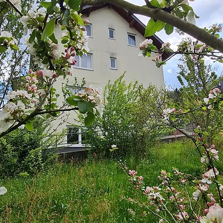 Ferienhaus Am Reilsbach Кохем Экстерьер фото