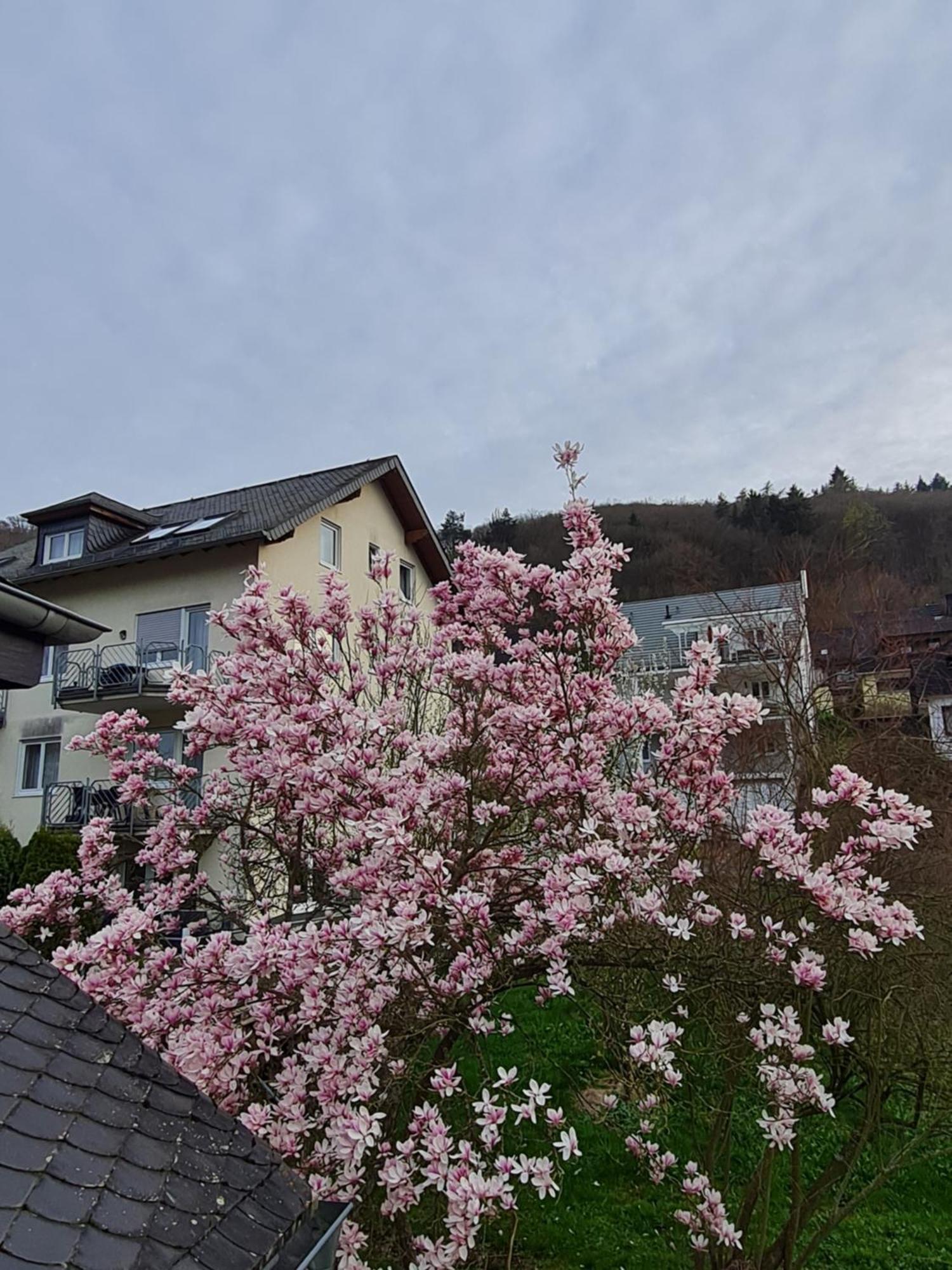 Appartement Am Reilsbach