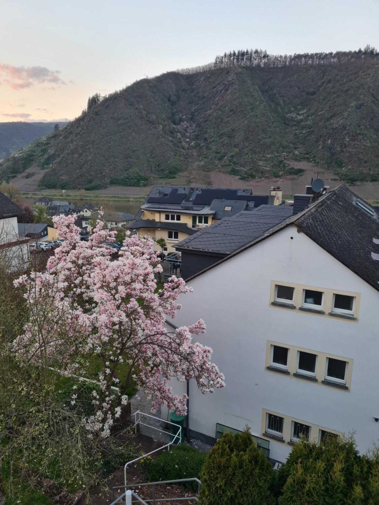 Appartement Am Reilsbach