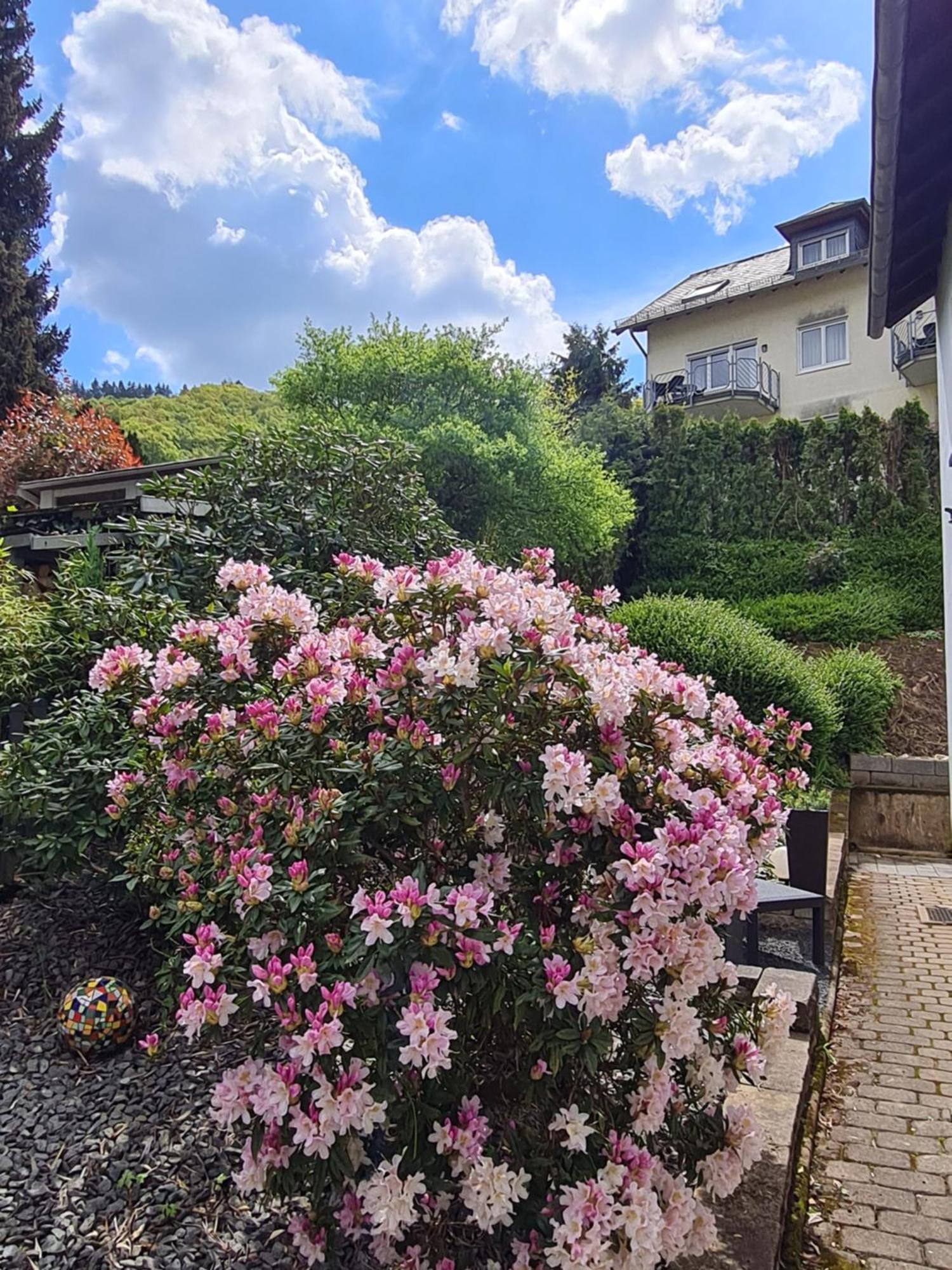 Appartement Am Reilsbach Commune fusionnée de Cochem-Land