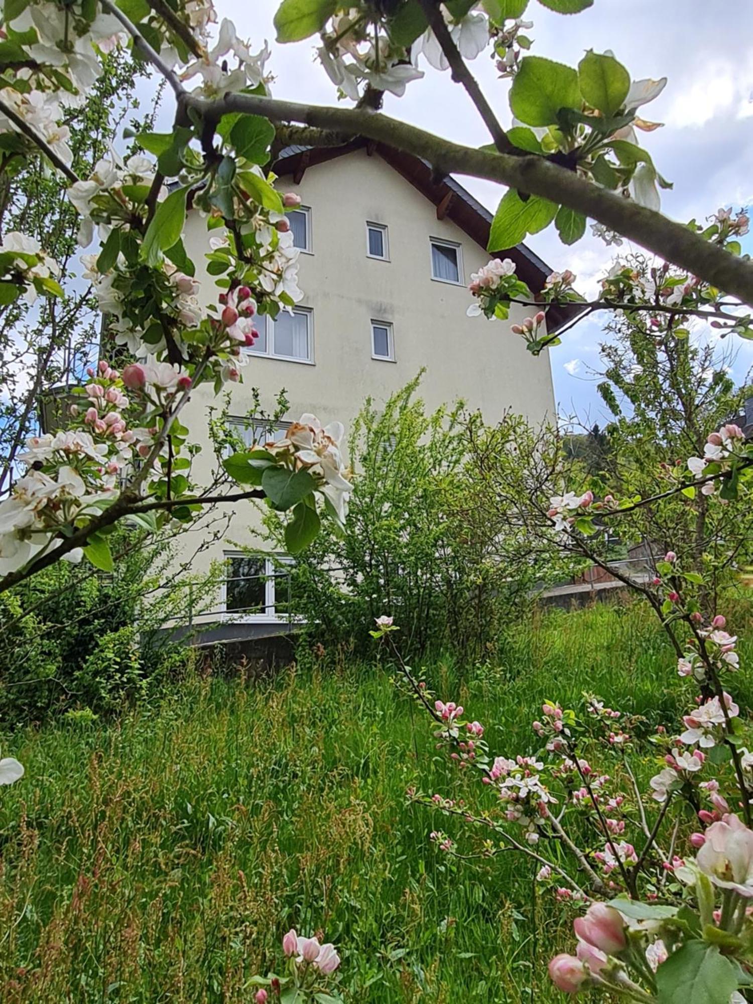 Am Reilsbach Cochem